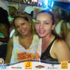 Bloco Skol Folia